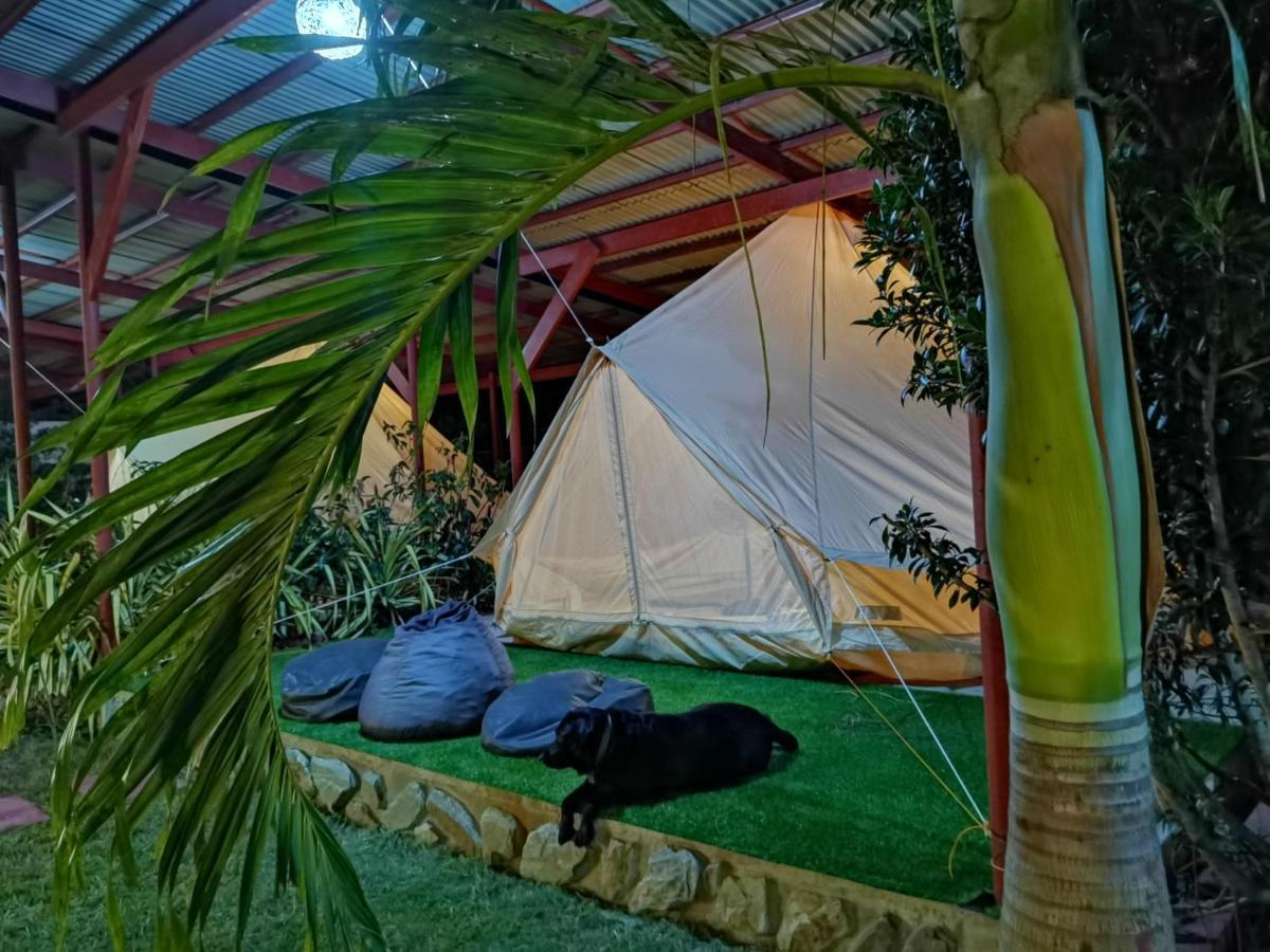 Glamping Alona Apartment Panglao Exterior foto